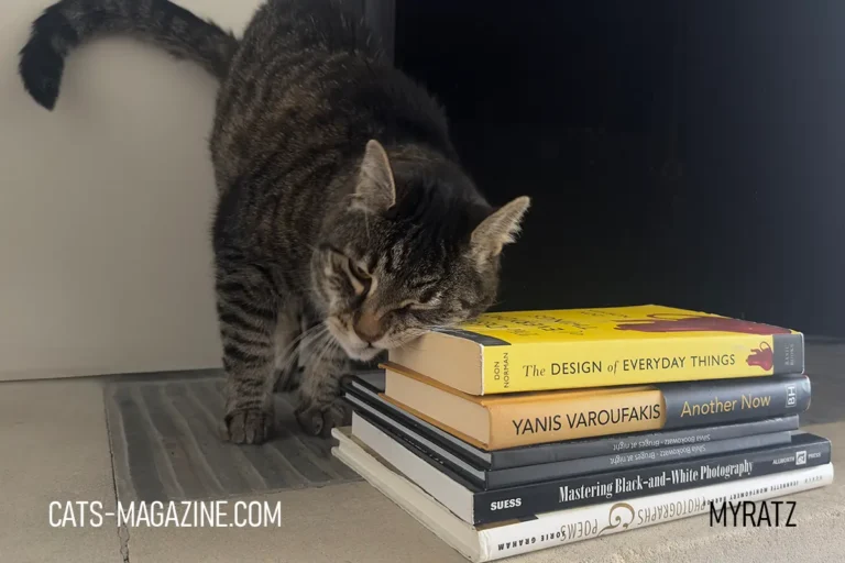 books about cats cozy reading with cat and stack of books