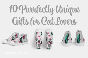 unique gifts for cat lovers