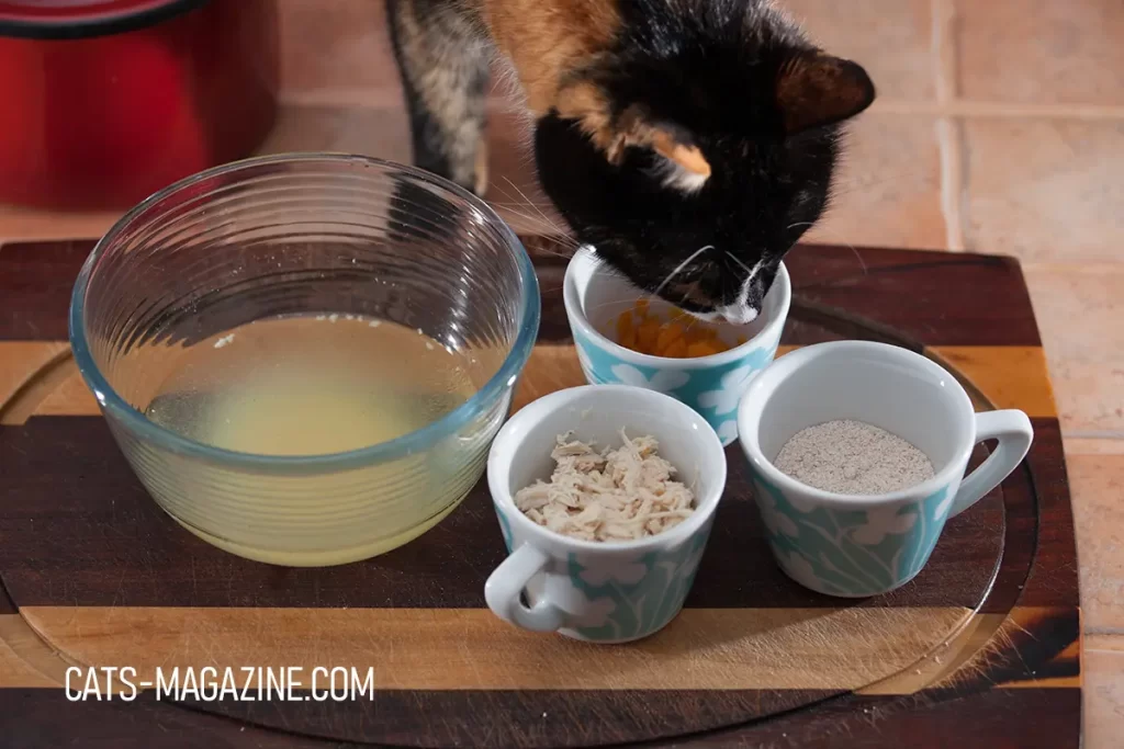 making homemade cat food - Delicious Chicken Meowy Jello Recipe