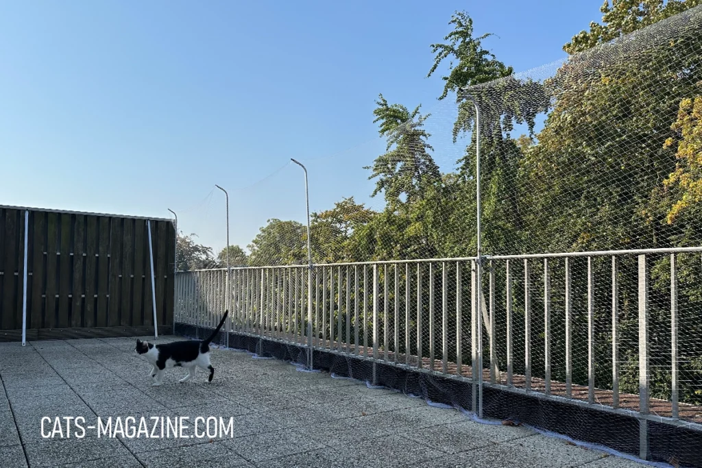 How a Cat Net Saved the Day: Keeping Tito Safe on Our Terrace