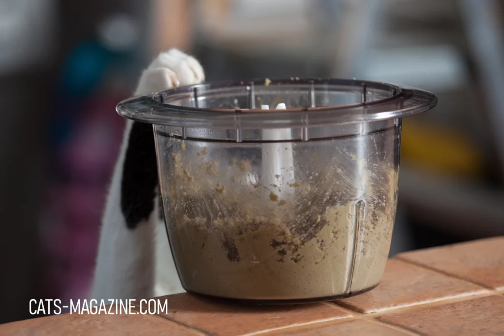 Homemade Cat Food: Simple, Healthy, and Purr-fect for Your Furry Friend: Chicken and Pea Homemade Cat Food Recipe with Tito the cat