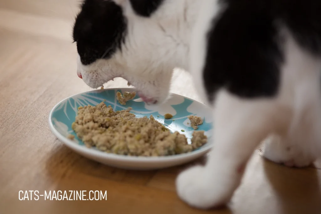 Homemade Cat Food: Simple, Healthy, and Purr-fect for Your Furry Friend: Chicken and Pea Homemade Cat Food Recipe with Tito the cat