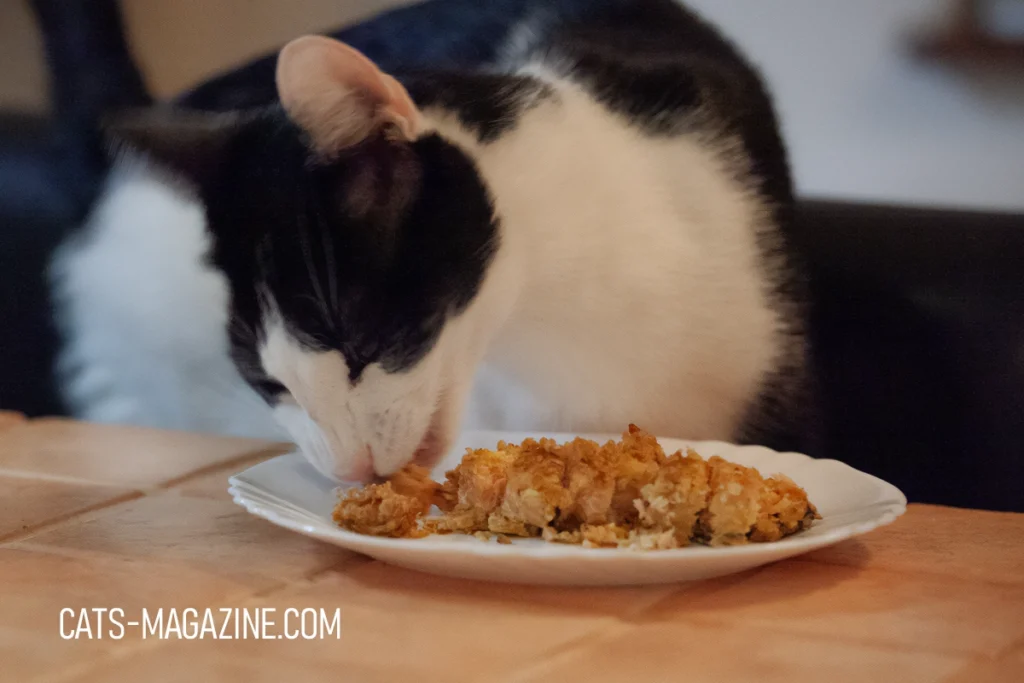 Homemade Cat Food Recipe: A Salmon Delight Your Cat Will Love!