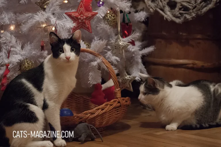 Cat Christmas Tree Ornaments: Purr-fect Decorations for a Cat-Friendly Holiday