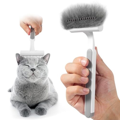 Grooming Your Cat: Tips for a Healthy Coat and Happy Feline