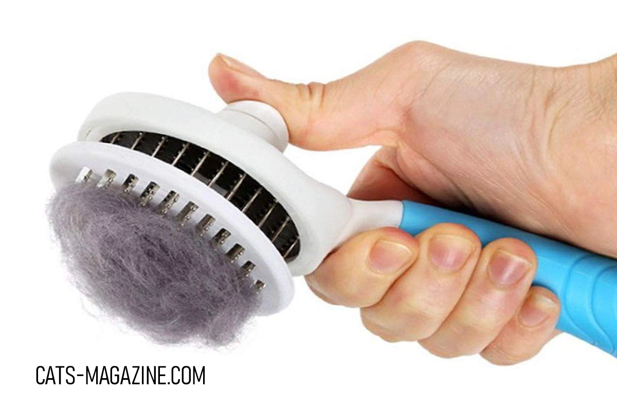 The Ultimate Guide to Choosing the Best Cat Brush