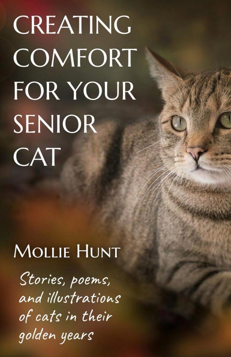 Creating Comfort for Your Senior Cat: Stories, Poems, and Illustrations of Cats in Their Golden Years Paperback – December 30, 2024by Mollie Hunt