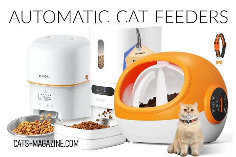 Top-Rated Automatic Cat Feeders - The Best Picks for Happy and Well-Fed Cats