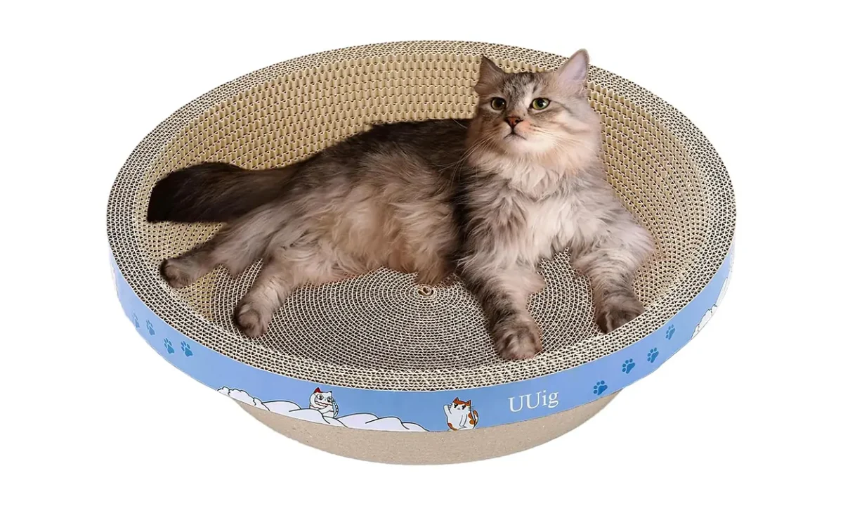 10 Best Eco-Friendly Cat Products for a Happy, Healthy, and Sustainable Cat Life