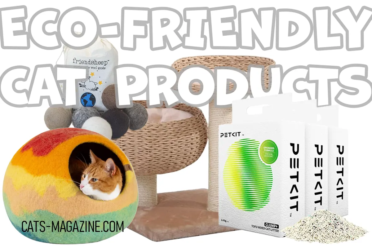 10 Best Eco-Friendly Cat Products for a Happy, Healthy, and Sustainable Cat Life