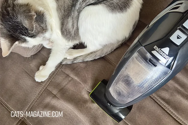BISSELL Pet Hair Eraser Handheld Vacuum