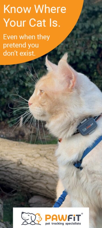 Pawfit GPS location tracker for Cats with activity monitoring