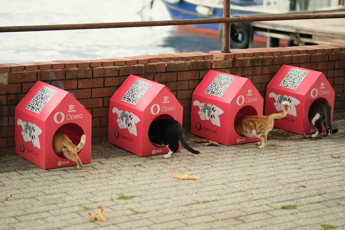 Istanbul street cats entering red Opera Air-branded cat houses by the water.