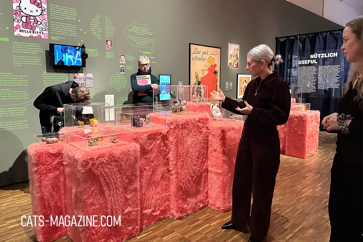 CATS exhibition Hamburg press conference - Exhibition guide speaking during the CATS! press conference at MARKK Hamburg, surrounded by cat-themed objects displayed on pink furry podiums.