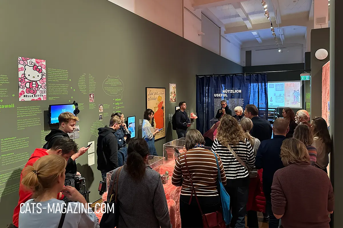 Visitors gathered around cat-themed displays at the CATS! press conference inside the MARKK Hamburg museum.