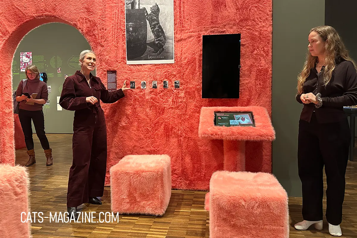 CATS exhibition Hamburg press conference - Curator presenting vintage cat photographs and interactive displays inside a pink textured exhibition space at MARKK Hamburg.