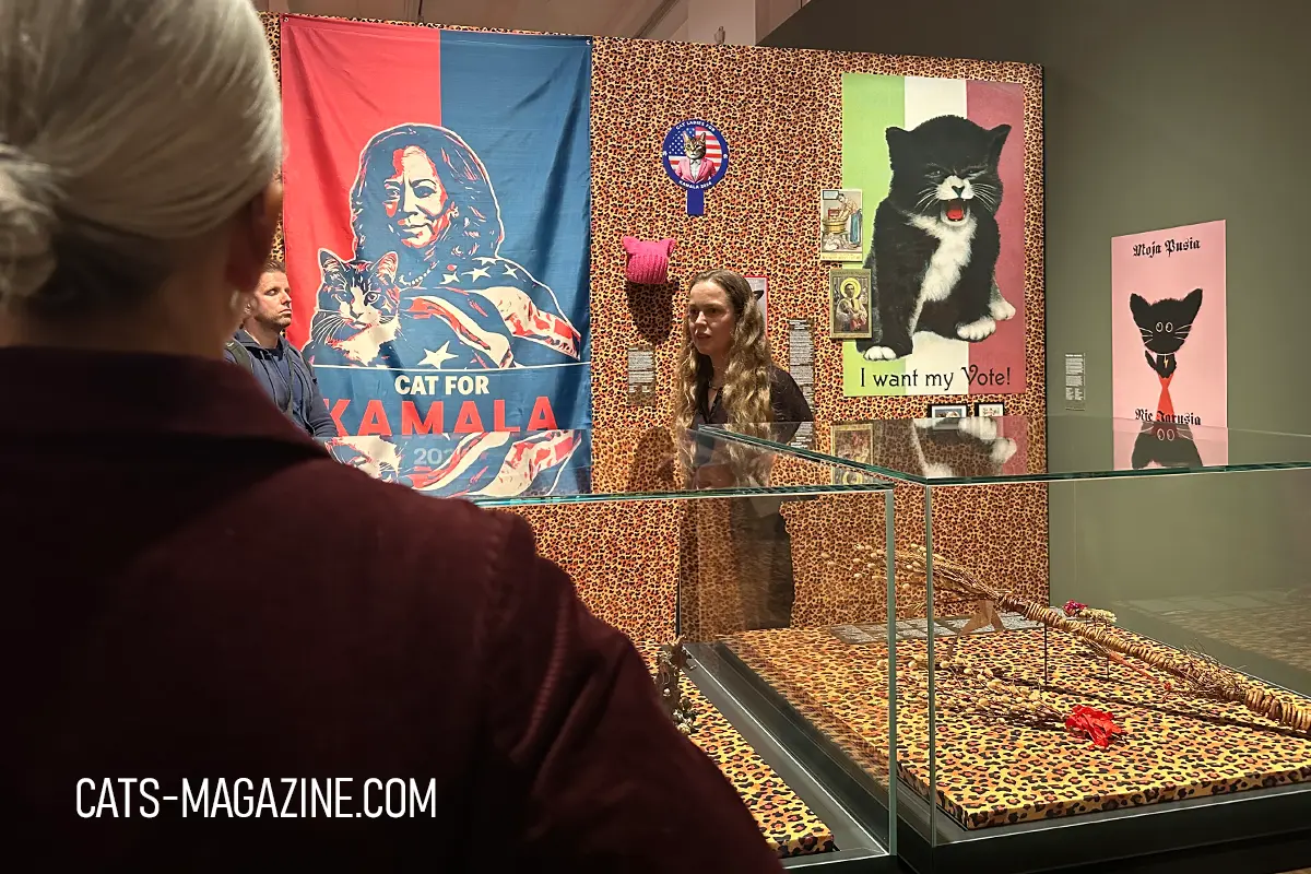 Curator speaking in front of political cat-themed posters, including a “Cat for Kamala” banner and playful vintage cat art, MARKK CATS exhibition.