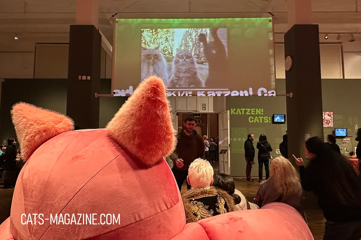 Giant pink cat-shaped sofa at the CATS exhibition Hamburg with visitors lounging and watching projected cat videos.