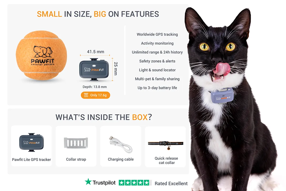 The Holiday Gift Every Cat Lover With an Adventurous Cat Will Appreciate
