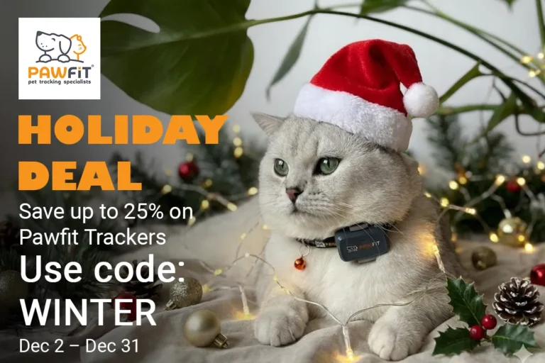 The Holiday Gift Every Cat Lover With an Adventurous Cat Will Appreciate
