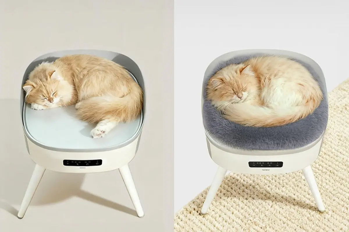 Things cats love about winter: cat sleeping curled up on a modern heated cat bed designed for winter warmth and comfort indoors.