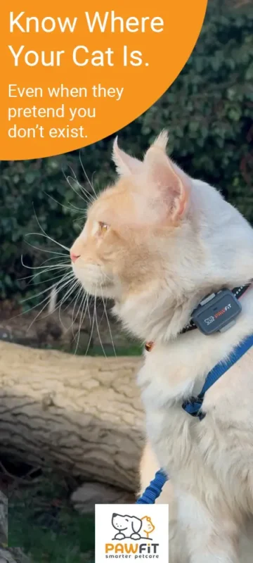 Cat wearing Pawfit GPS tracker outdoors with Know Where Your Cat Is message