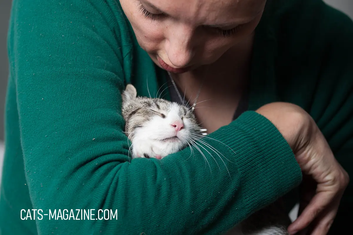 why is my cat obsessed with me cat sleeping in owner's arms