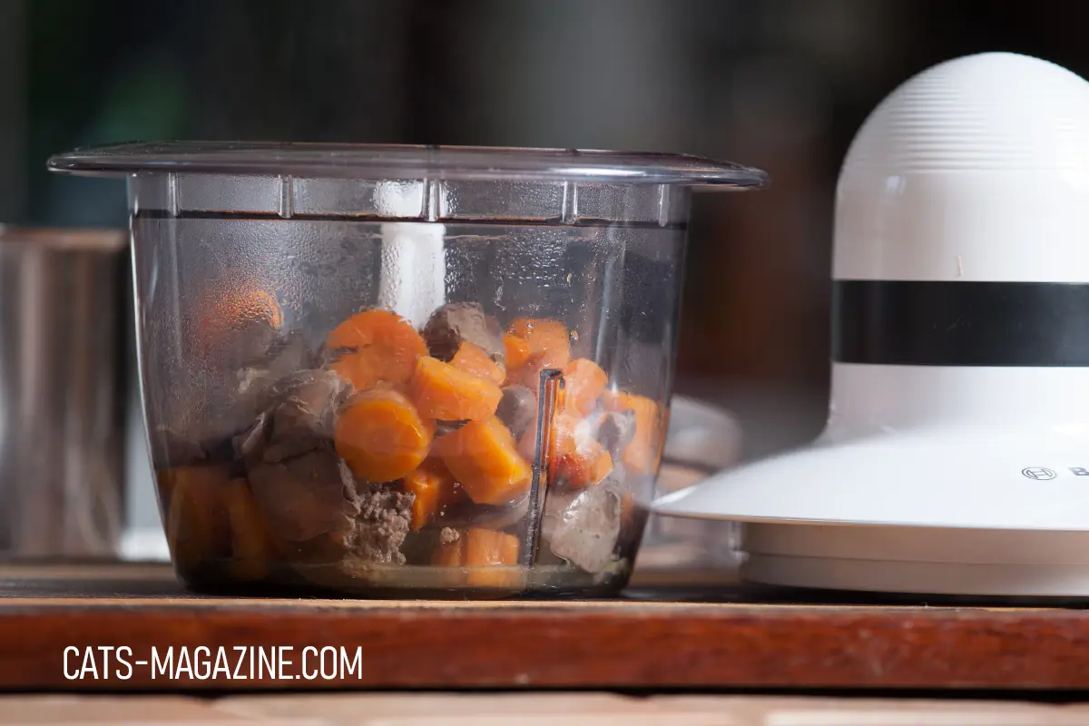 Homemade cat food ingredients with carrots and meat in a blender container on a kitchen counter