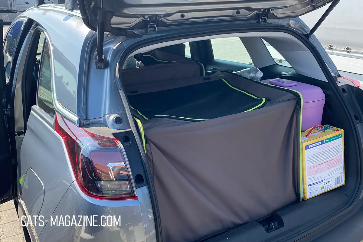 Two connected cat travel crates secured inside a car for a long road trip