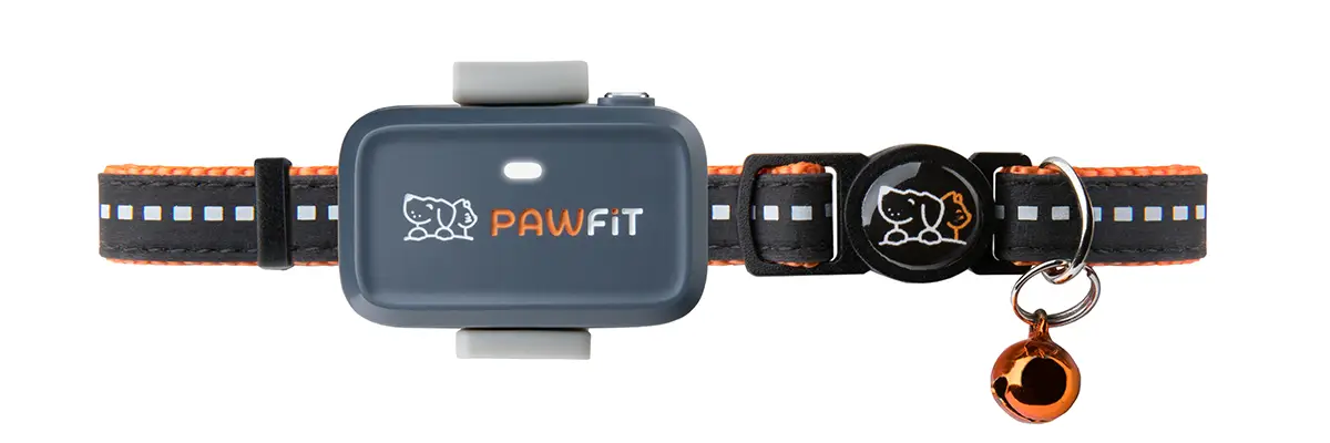 Pawfit GPS tracker attached to a cat collar