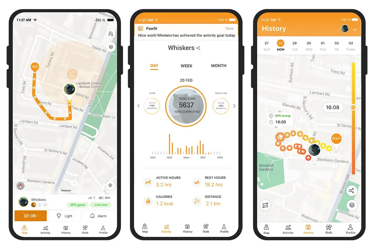 Pawfit GPS tracker app showing a cat's location, activity, and movement history